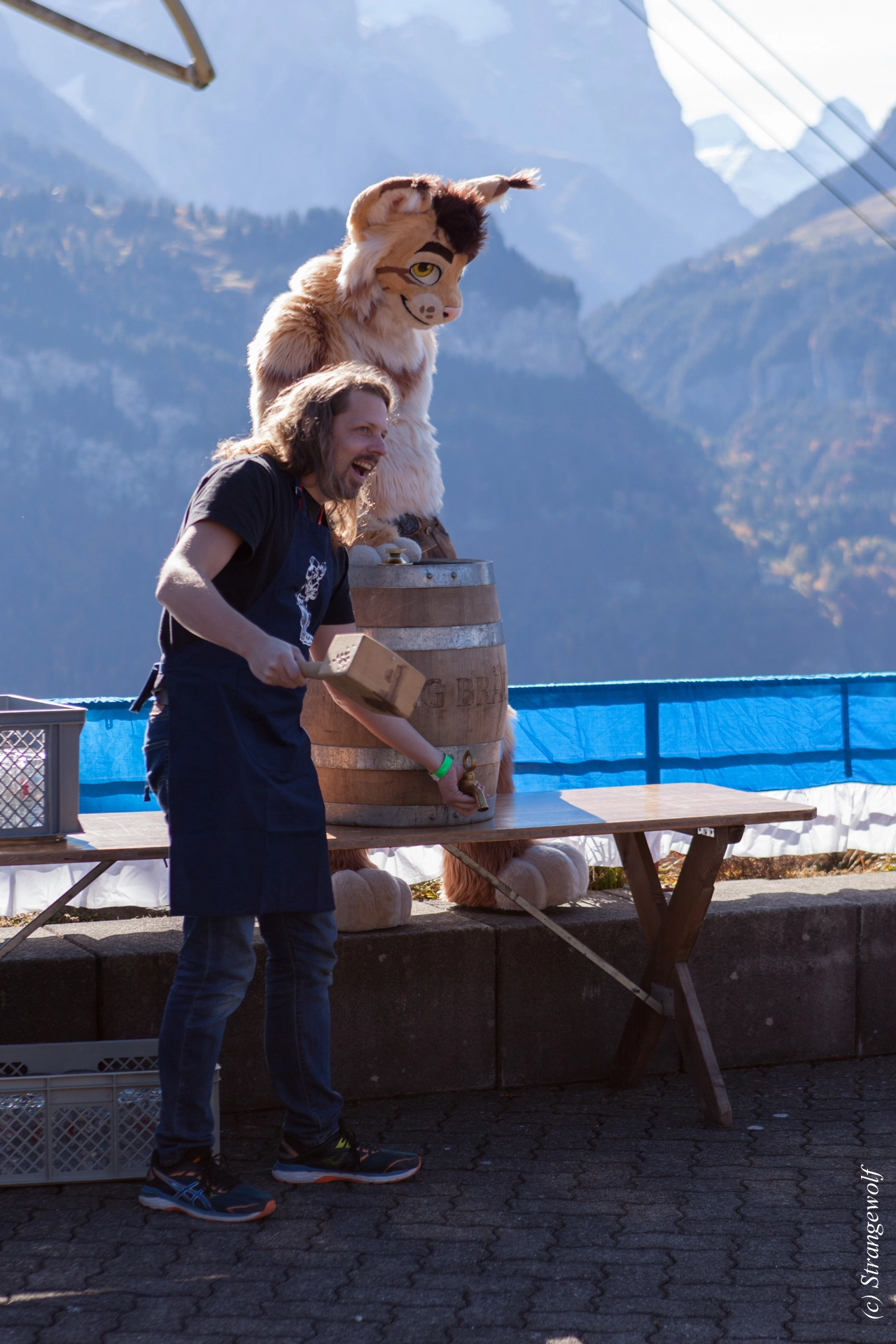 full image IMG_0510-lr19t.jpg