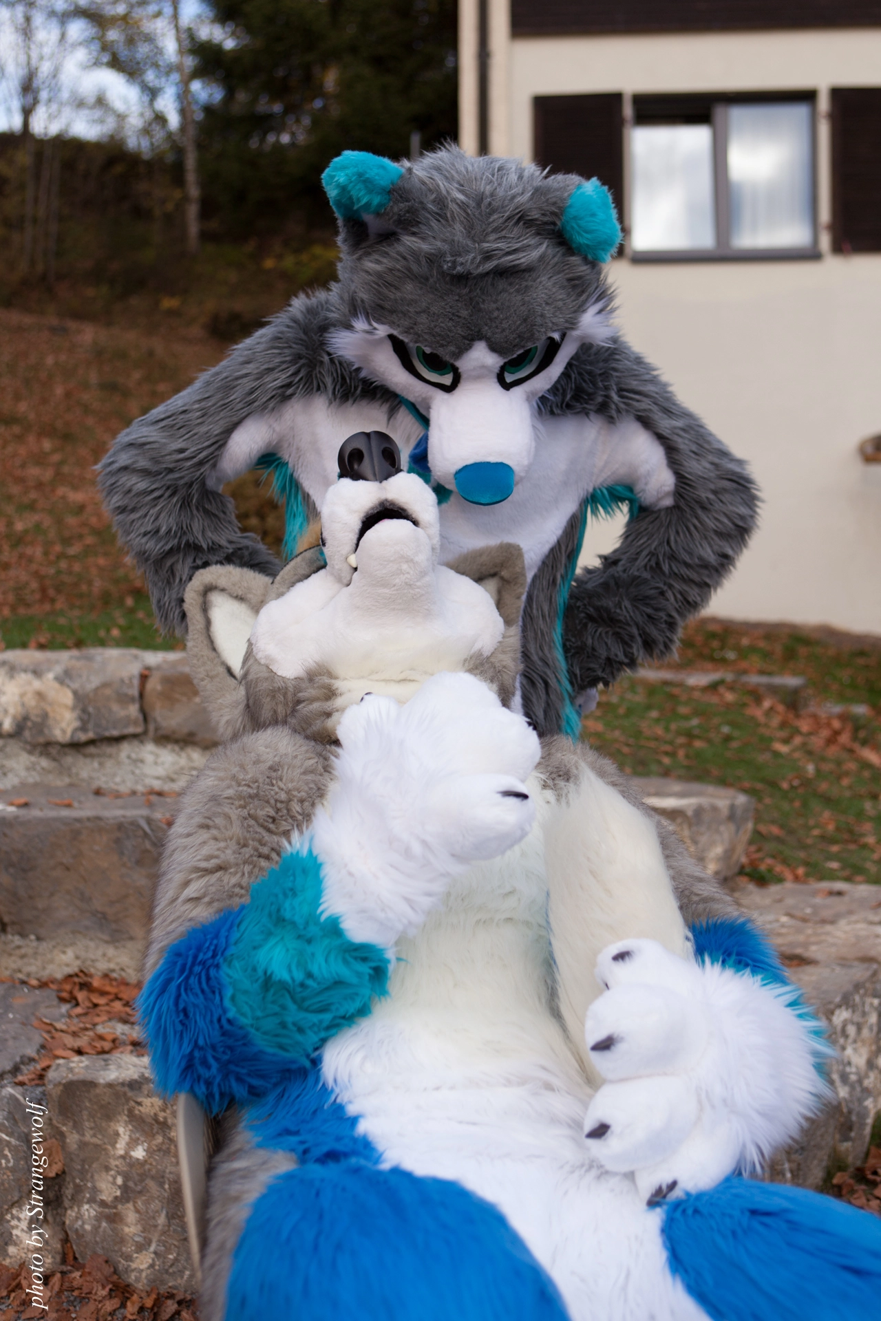 full image IMG_7986-lr19t.jpg