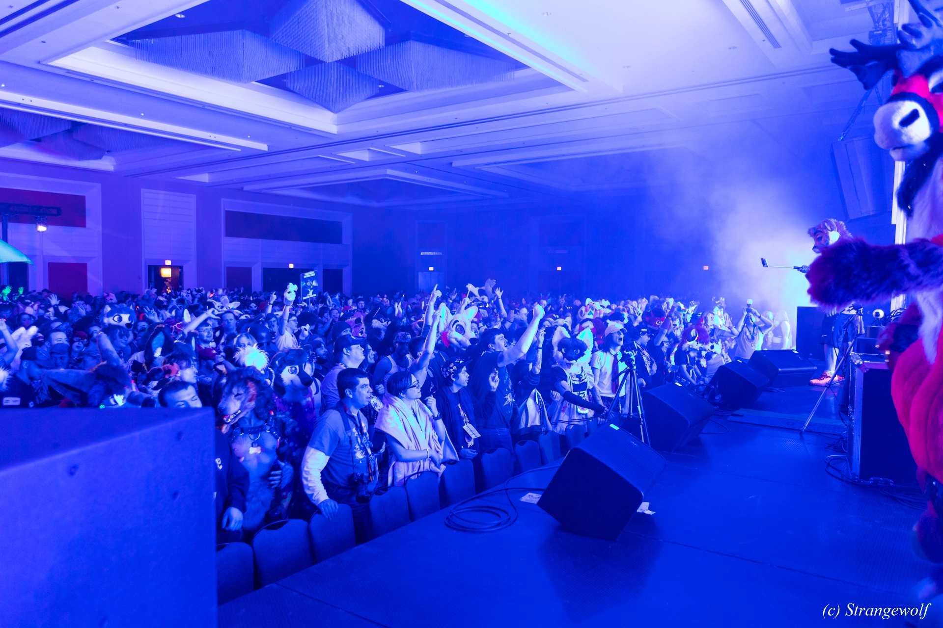 full image 1R3A5187-lr19t.jpg