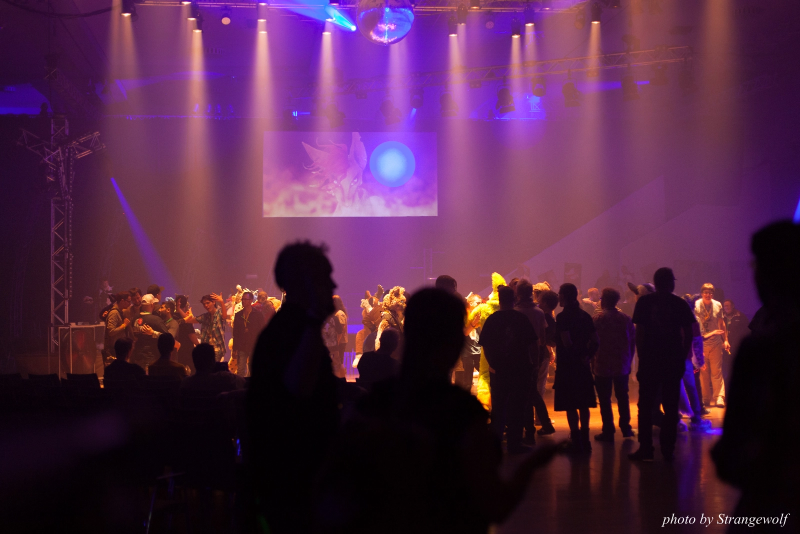 full image IMG_1667-lr16t.jpg