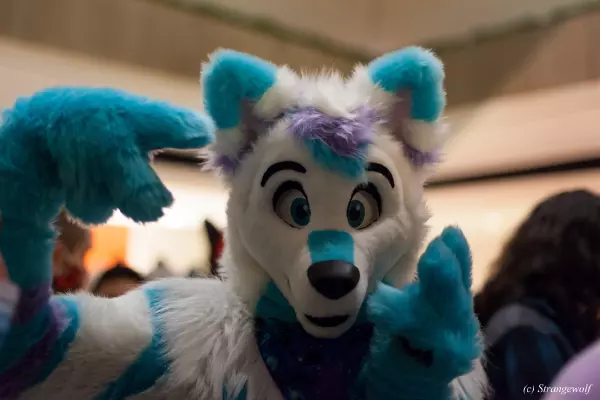 IMG_1118-lr19t.jpg of MFF/MFF2021/