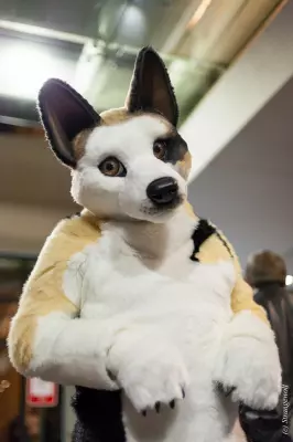 IMG_8106-lr19t.jpg of MFF/MFF2017/