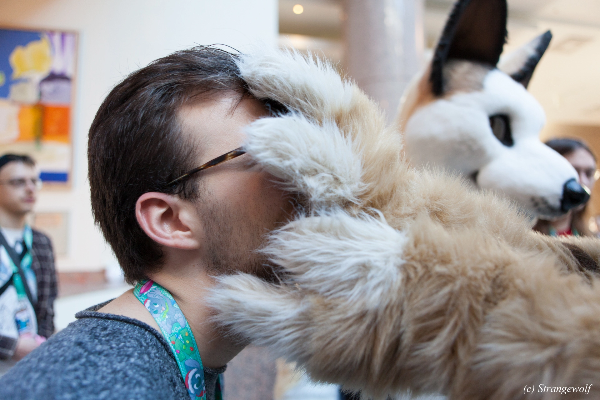 full image IMG_8761-lr19t.jpg