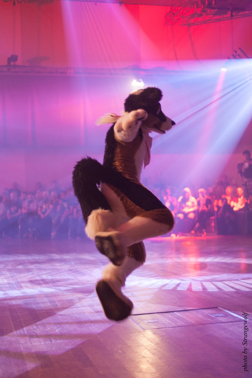 full image IMG_2530-lr16t.jpg
