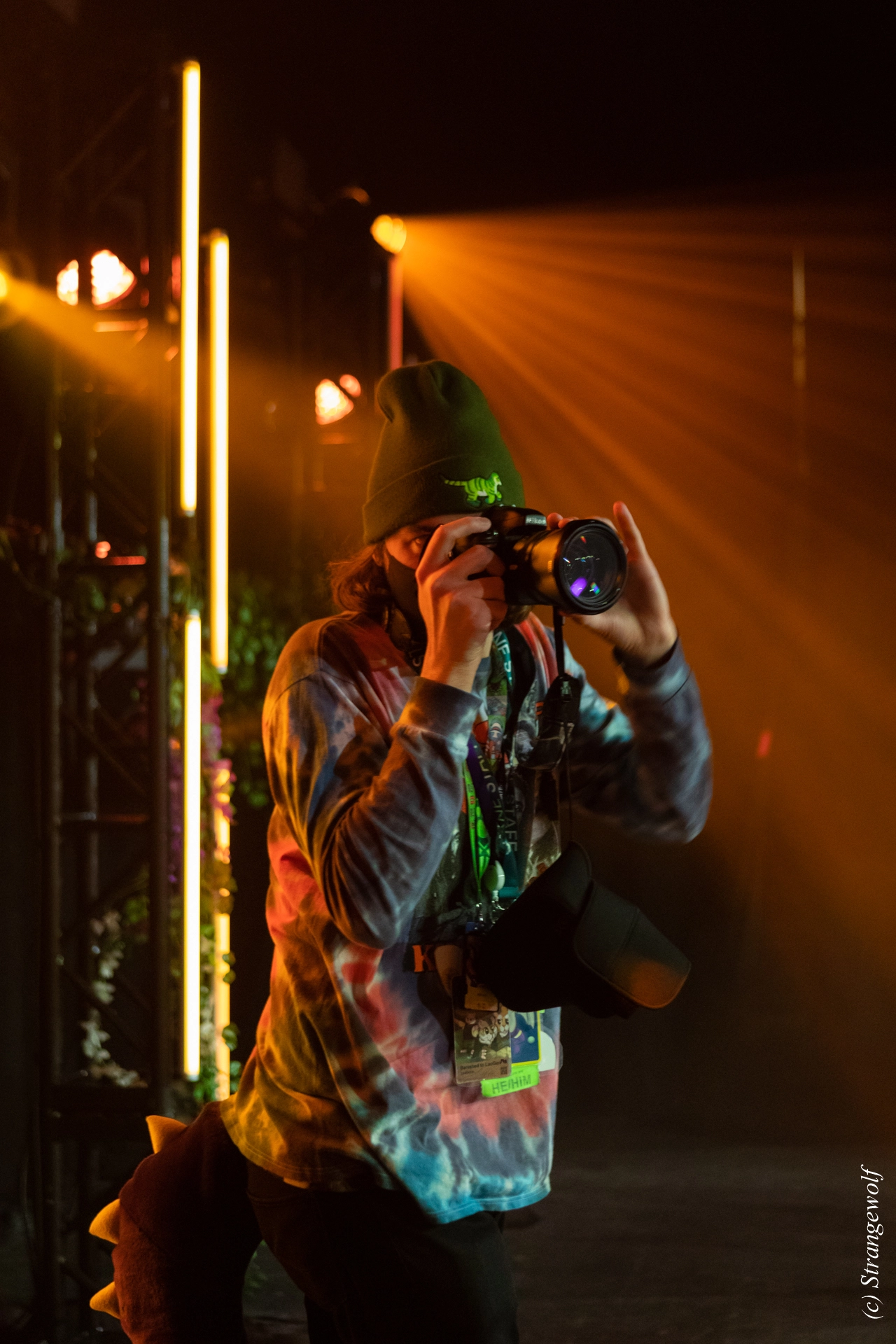 full image 1R3A1099-lr19t.jpg