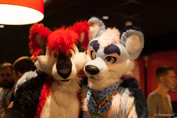 IMG_6961-lr19t.jpg of DFD/DFD2019/