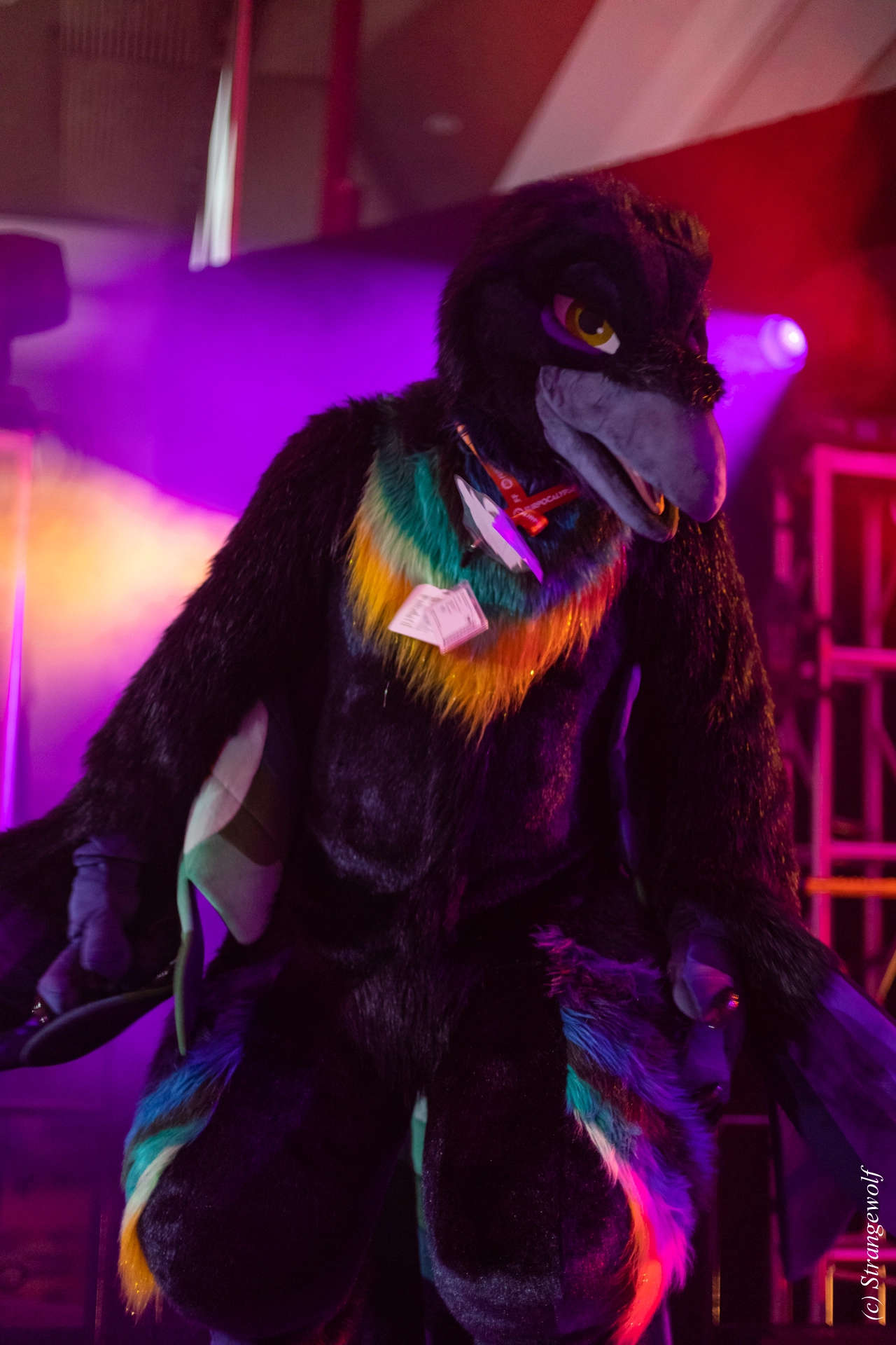 full image 1R3A0696-lr19t.jpg