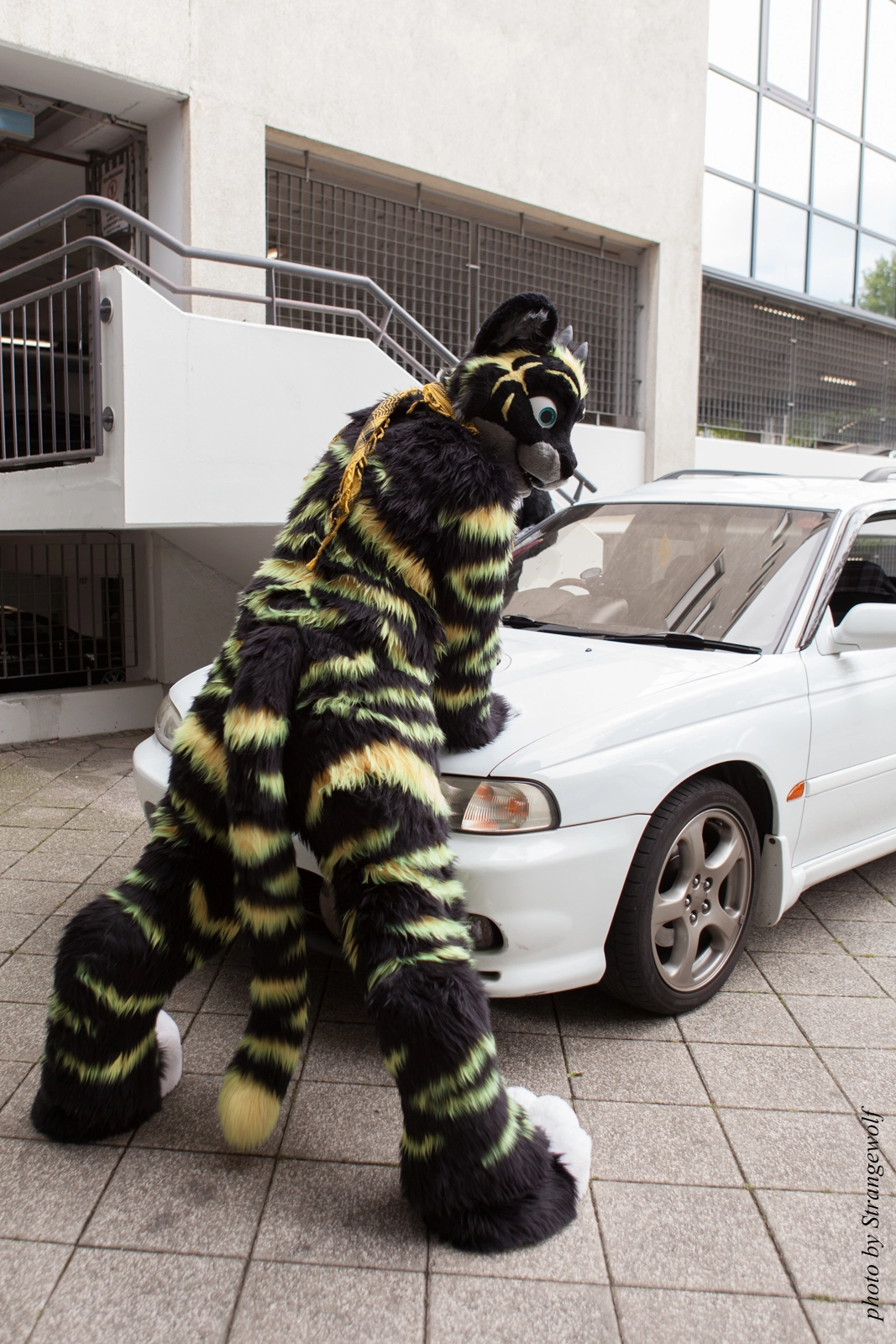 full image IMG_0130-lr16t.jpg