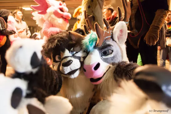 IMG_6893-lr19t.jpg of MFF/MFF2018/