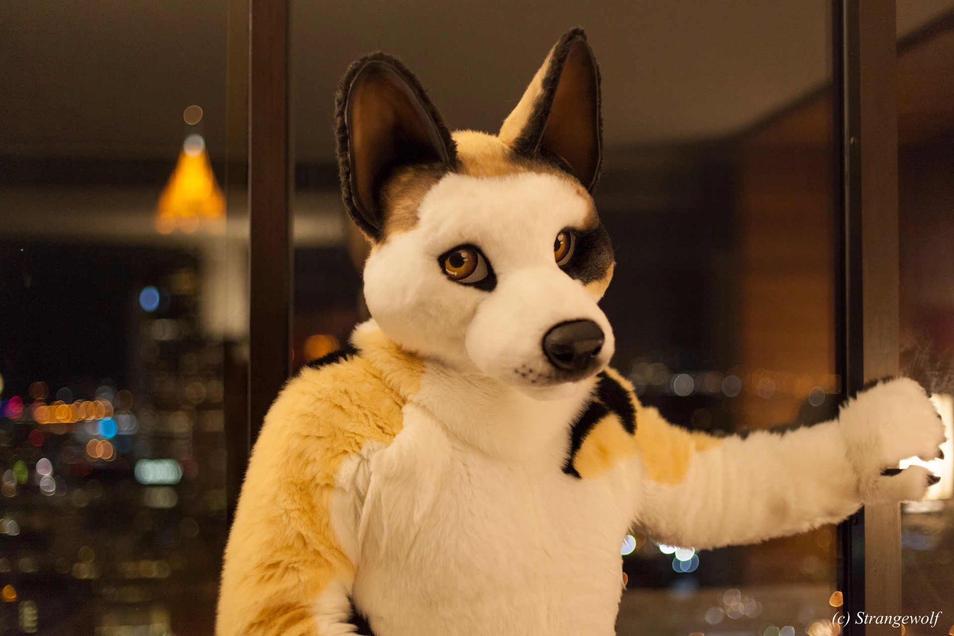 full image IMG_2106-lr19t.jpg