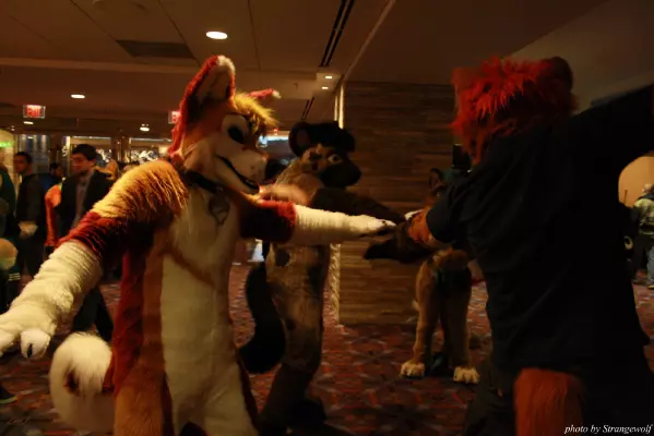 IMG_1146-lr.jpg of MFF/MFF2013/