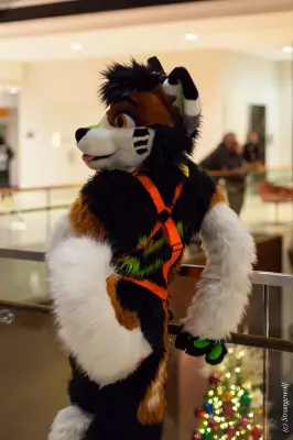 IMG_0905-lr19t.jpg of MFF/MFF2021/