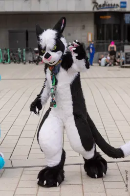 1R3A9177-lr19t.jpg of EF/EF29/