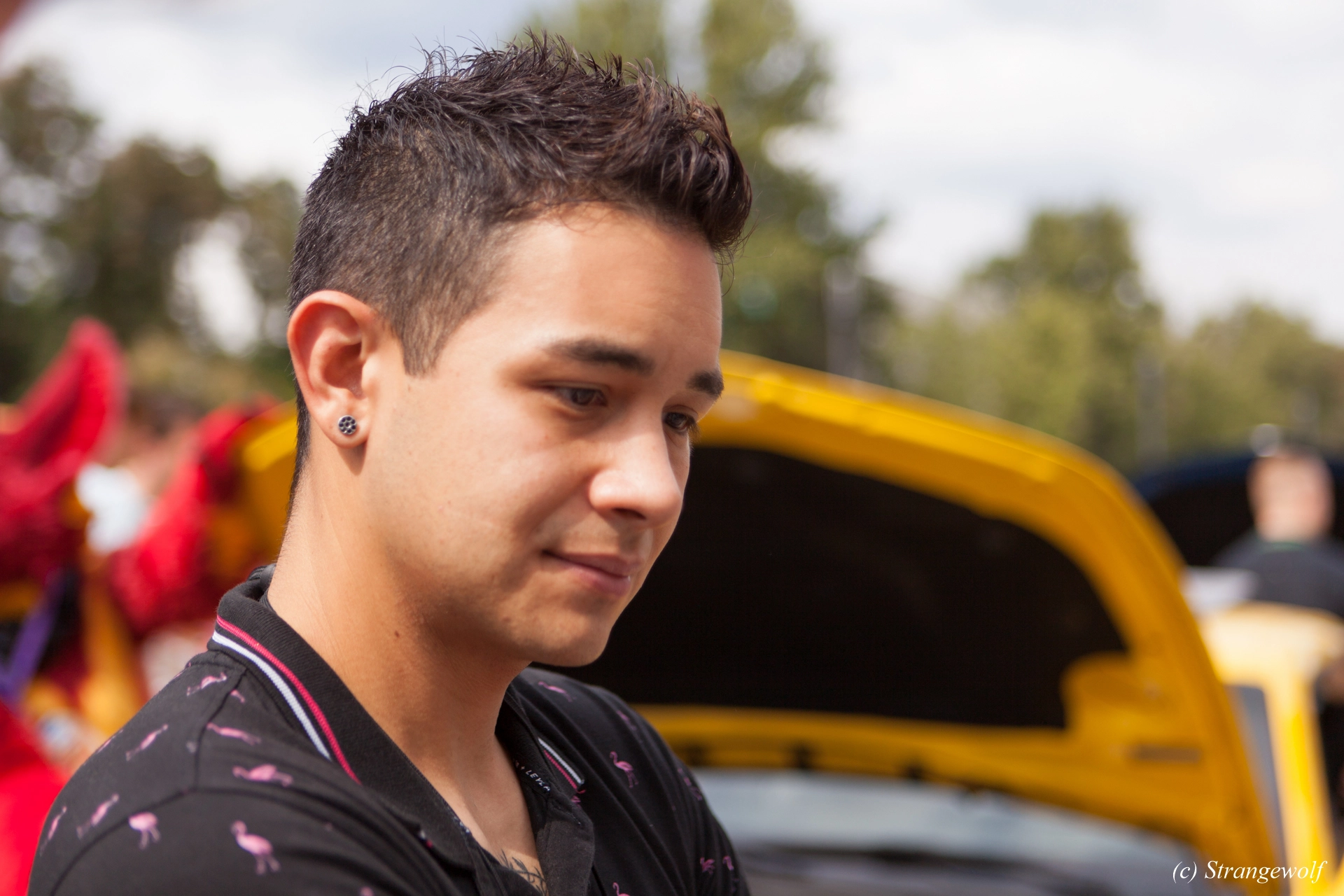 full image IMG_5241-lr19t.jpg