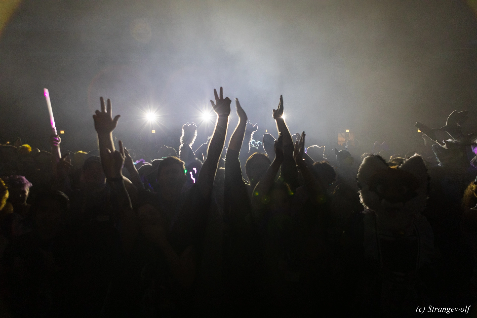 full image 1R3A5466-lr19t.jpg