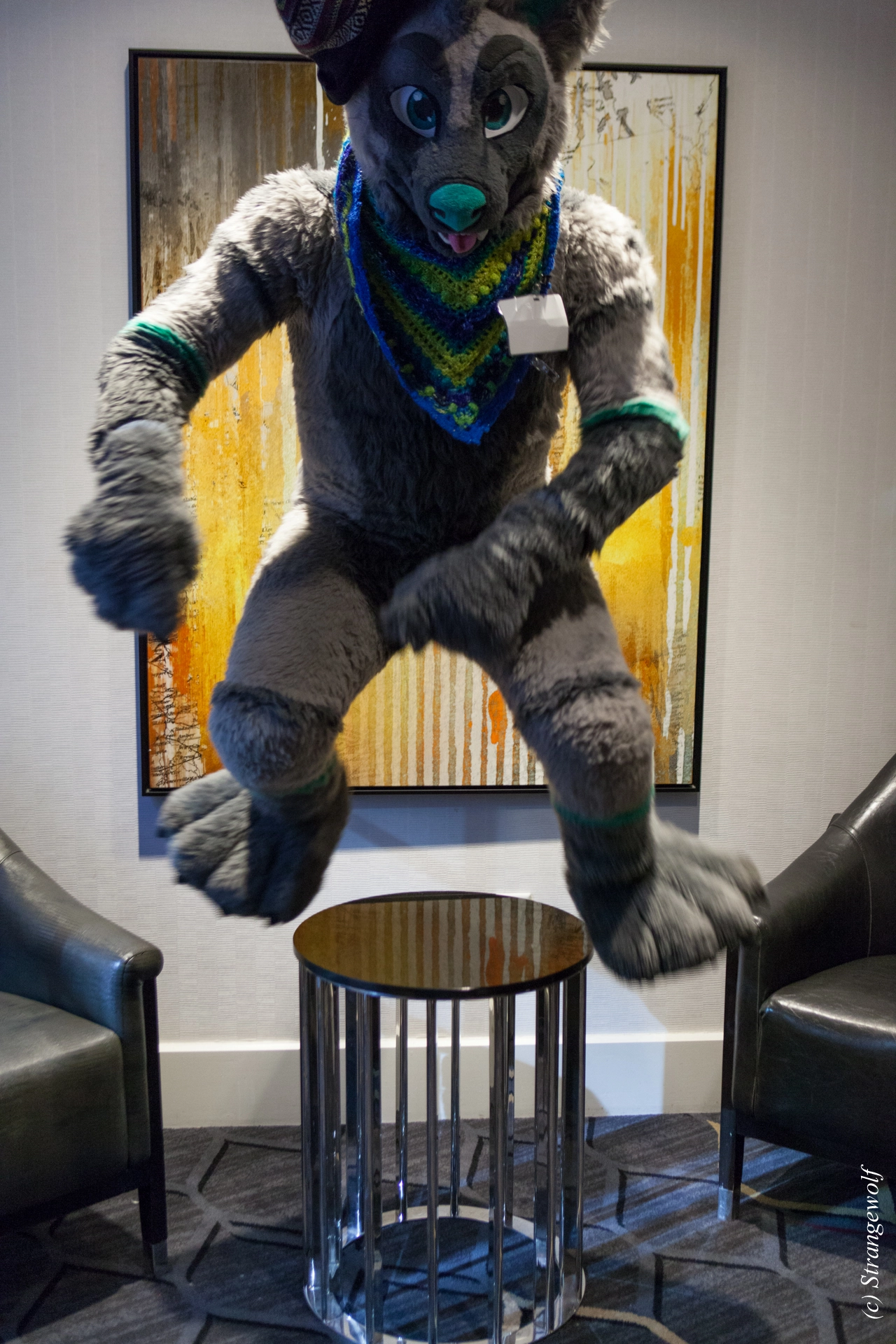 full image IMG_3431-lr19t.jpg