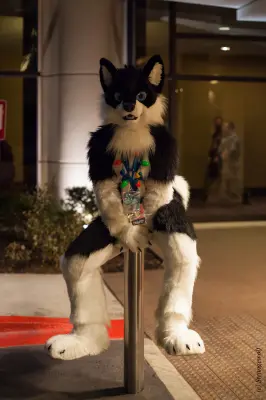 IMG_6583-lr19t.jpg of MFF/MFF2015/