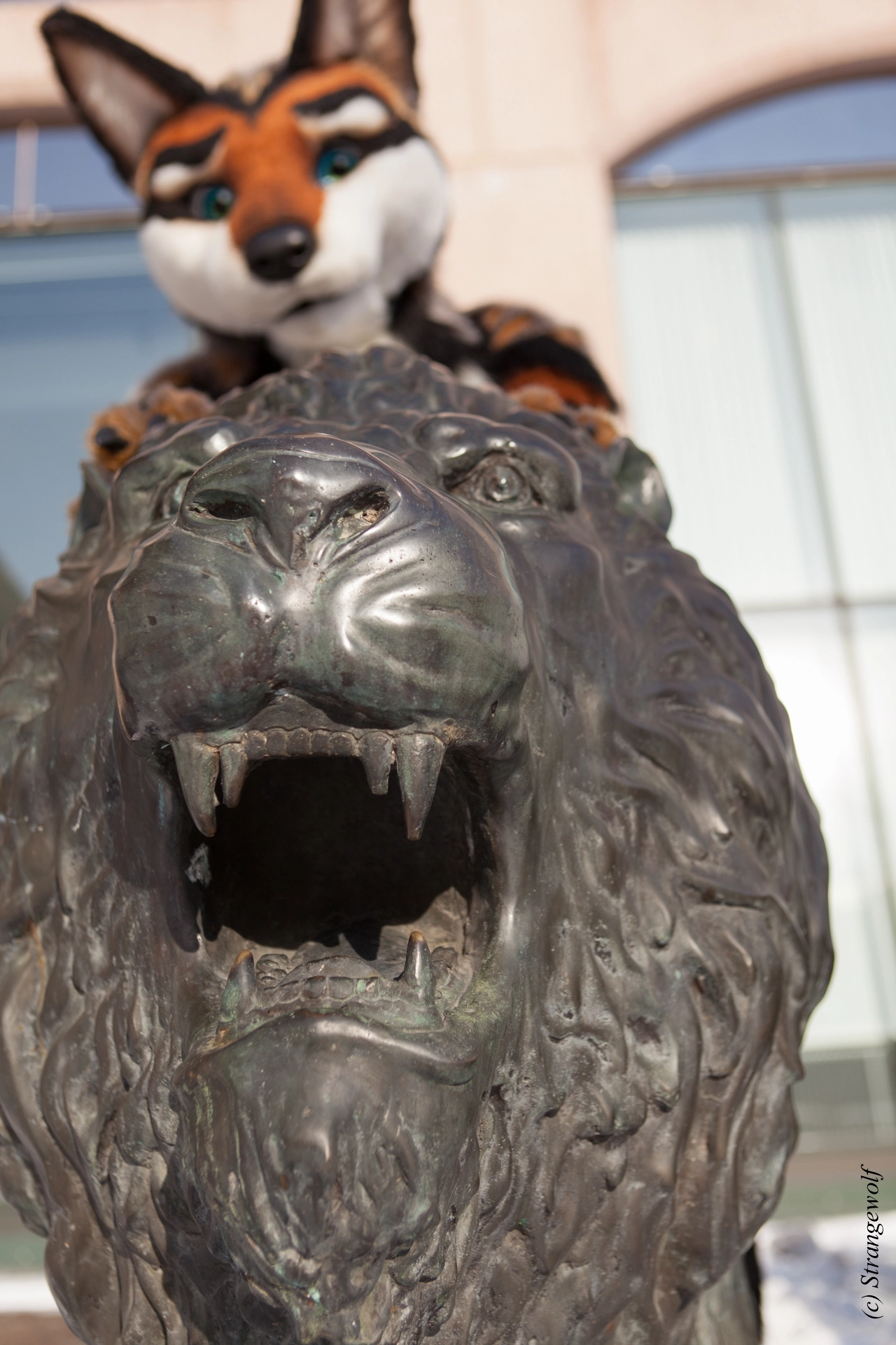 full image IMG_0048-lr19t.jpg