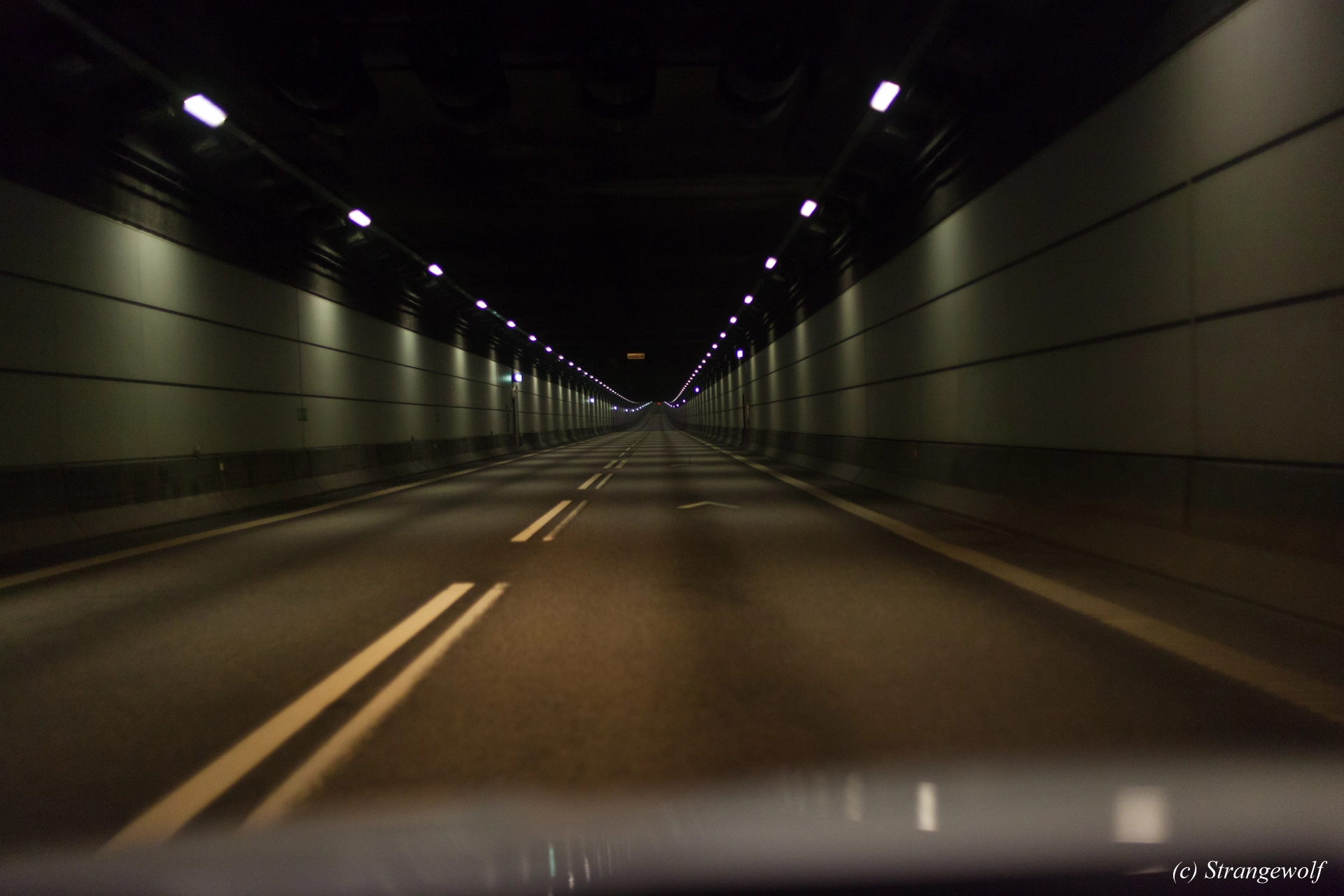 full image IMG_8484-lr19t.jpg