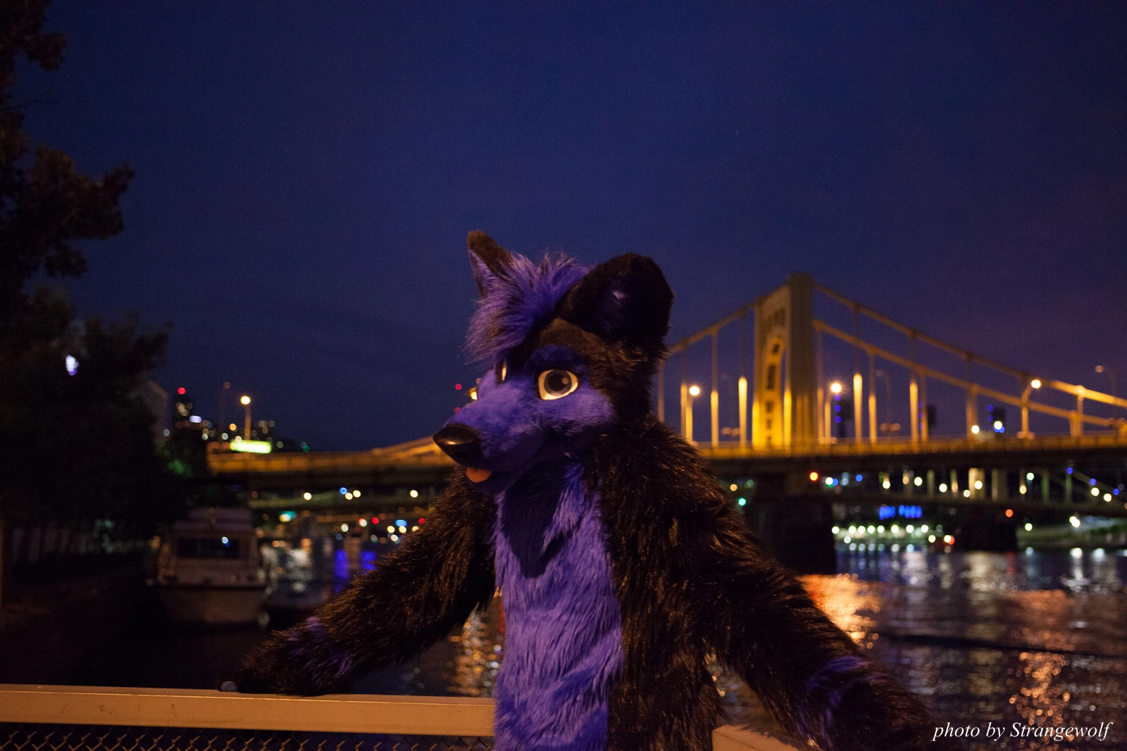 full image IMG_8434-lr16t.jpg