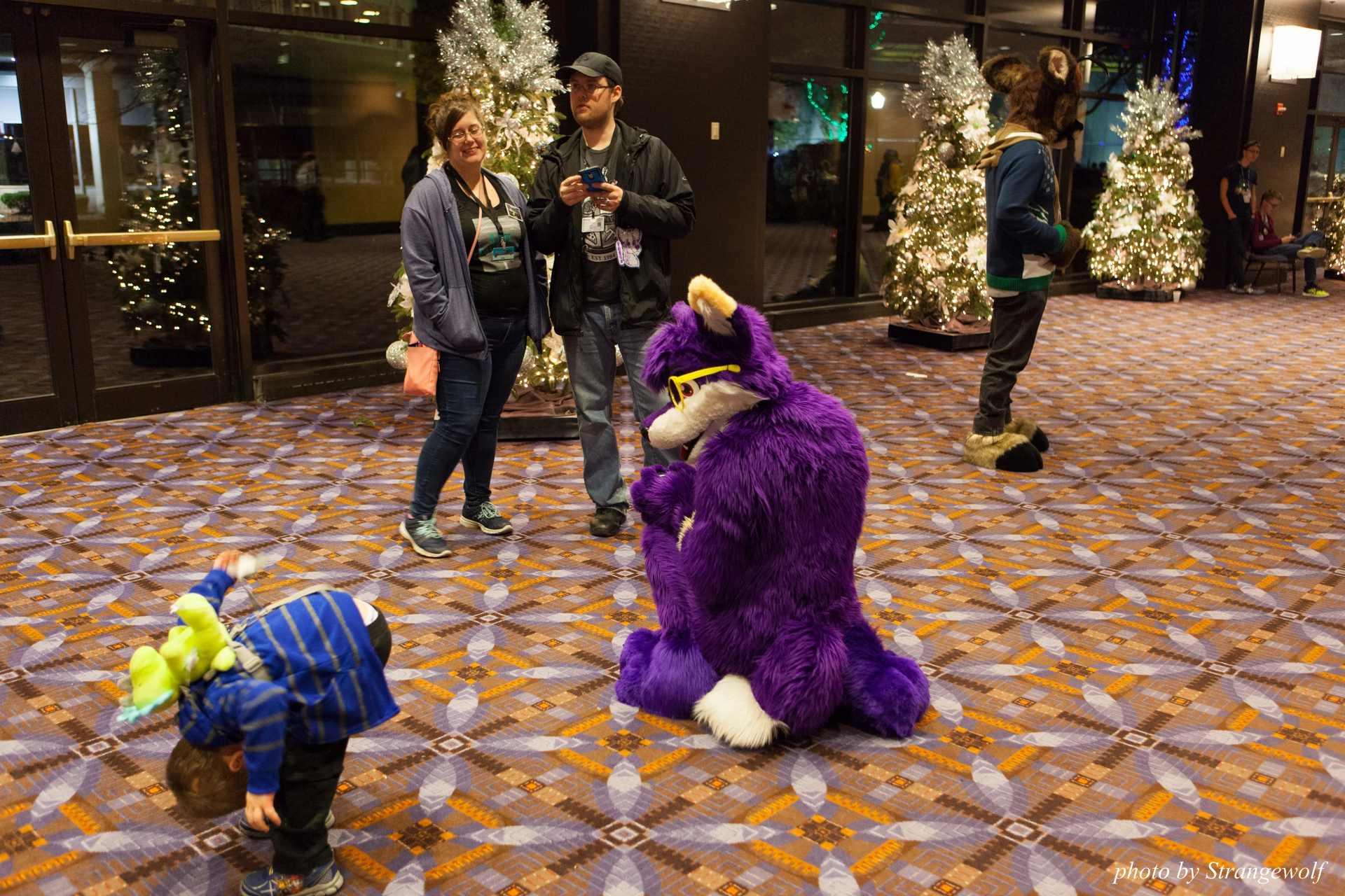 full image IMG_8597-lr19t.jpg