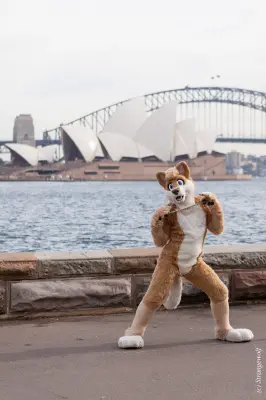 IMG_4293-lr19t.jpg of HCFC/HCFC2019/