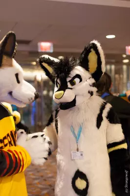 IMG_7558-lr19t.jpg of MFF/MFF2018/