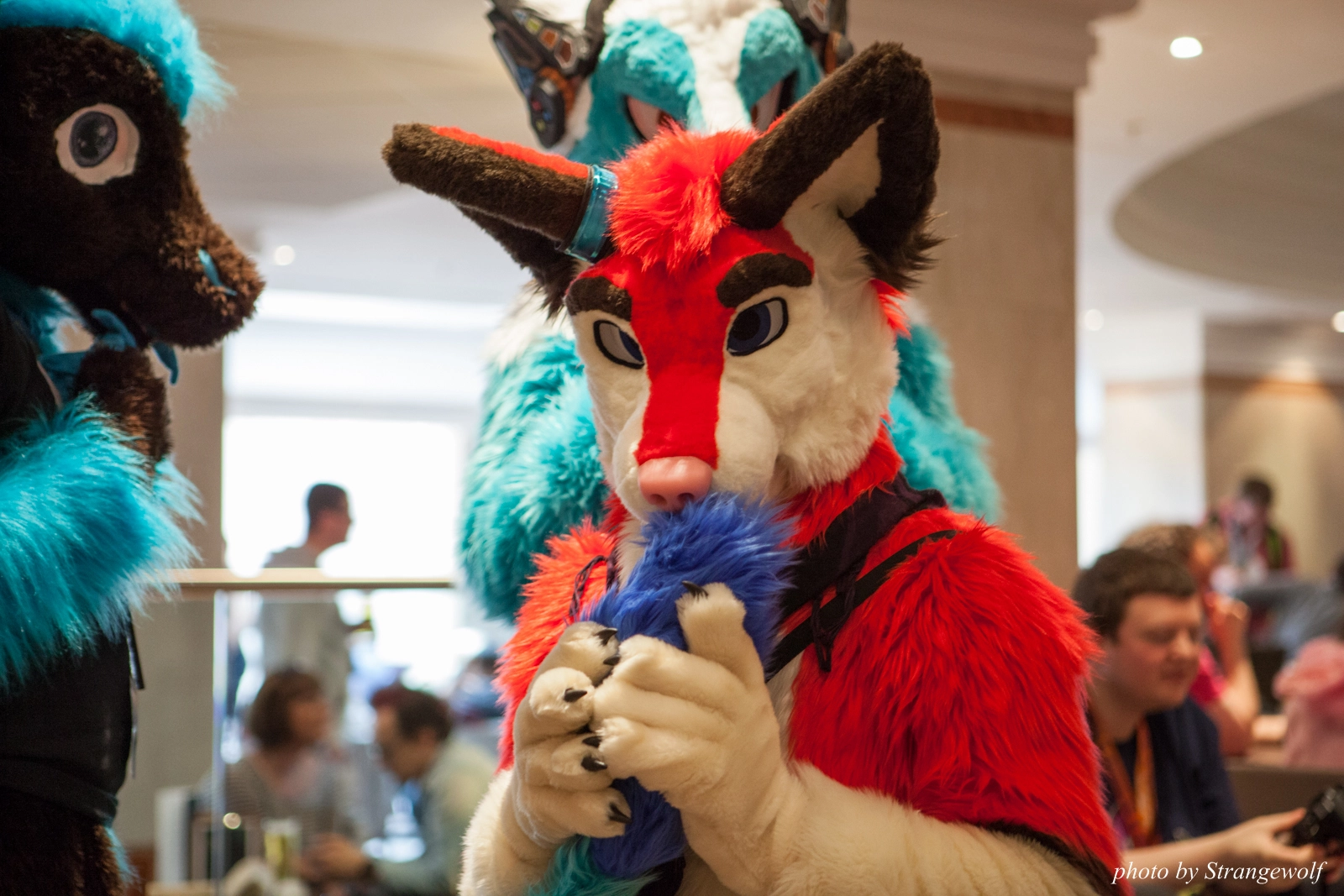 full image IMG_7409-lr16t.jpg