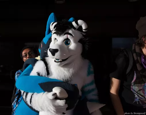 IMG_6007-lr16t.jpg of MFF/MFF2014/
