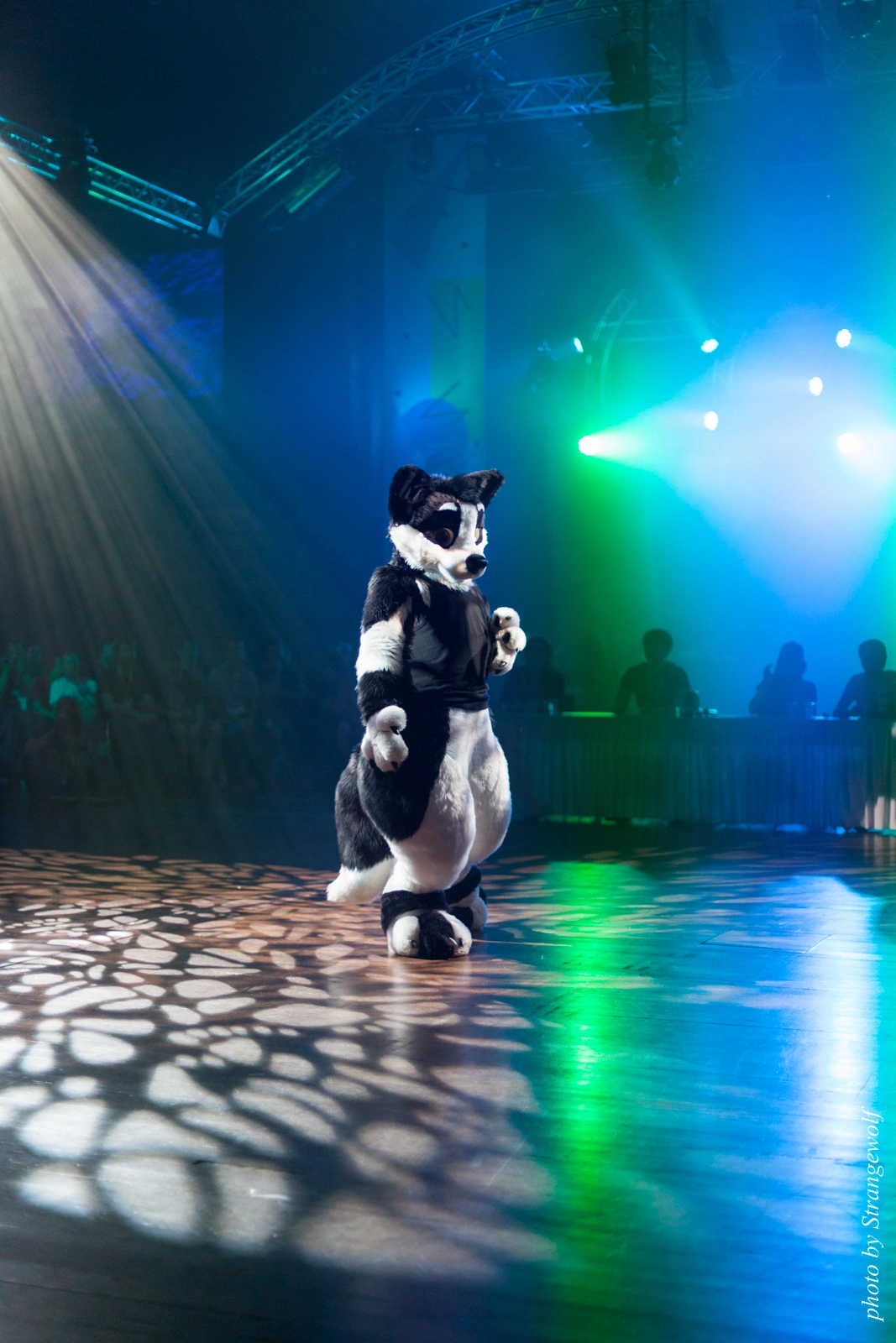 full image IMG_9539-lr16t.jpg