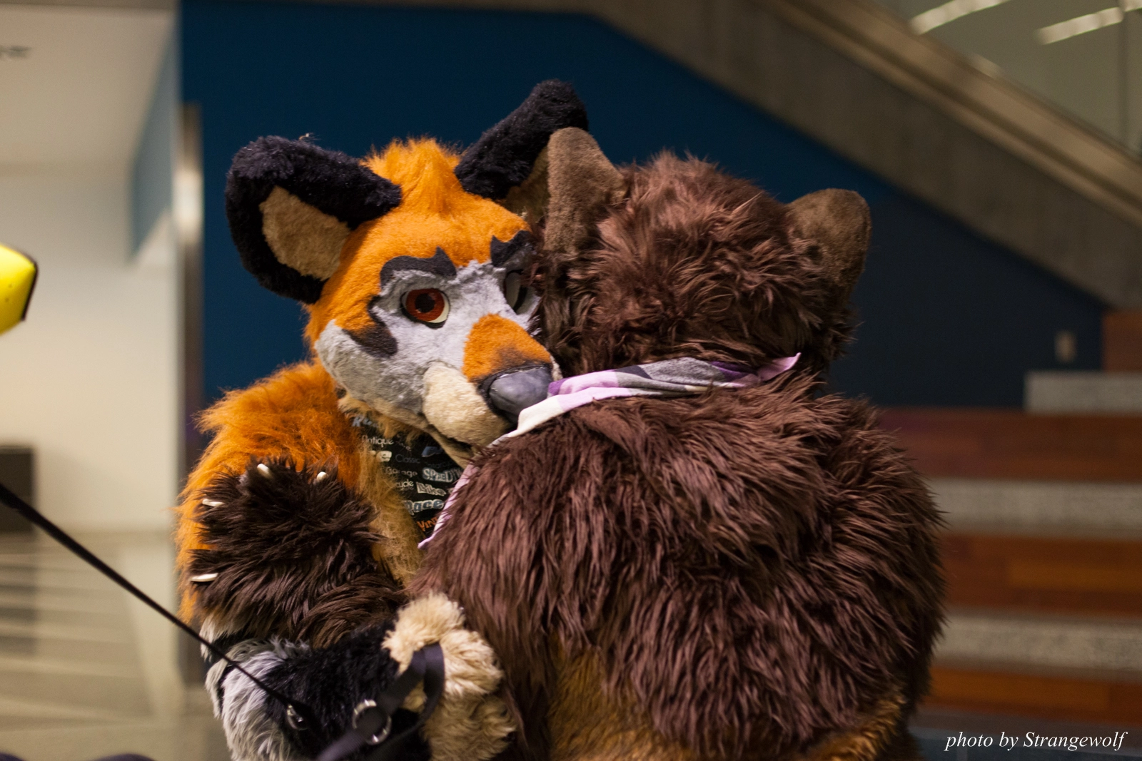 full image IMG_1179-lr16t.jpg