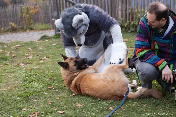 IMG_7985-lr19t.jpg of GLC/GLC2017/