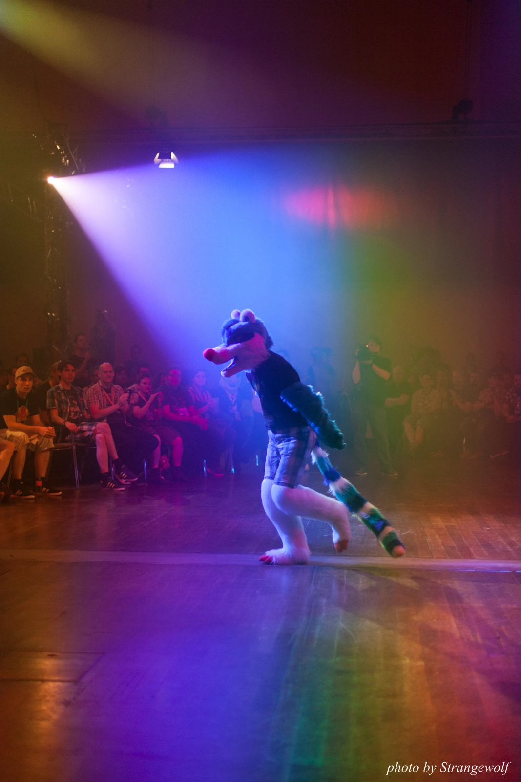 full image IMG_2891-lr16t.jpg