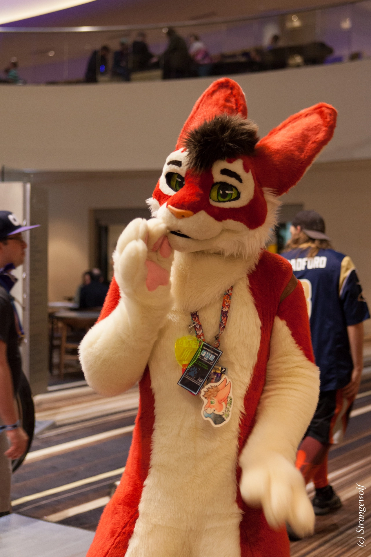 full image IMG_1967-lr19t.jpg