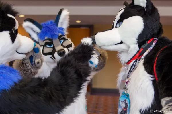 IMG_8394-lr19t.jpg of MFF/MFF2017/
