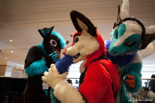 IMG_7412-lr16t.jpg of CFZ/CFZ2016/