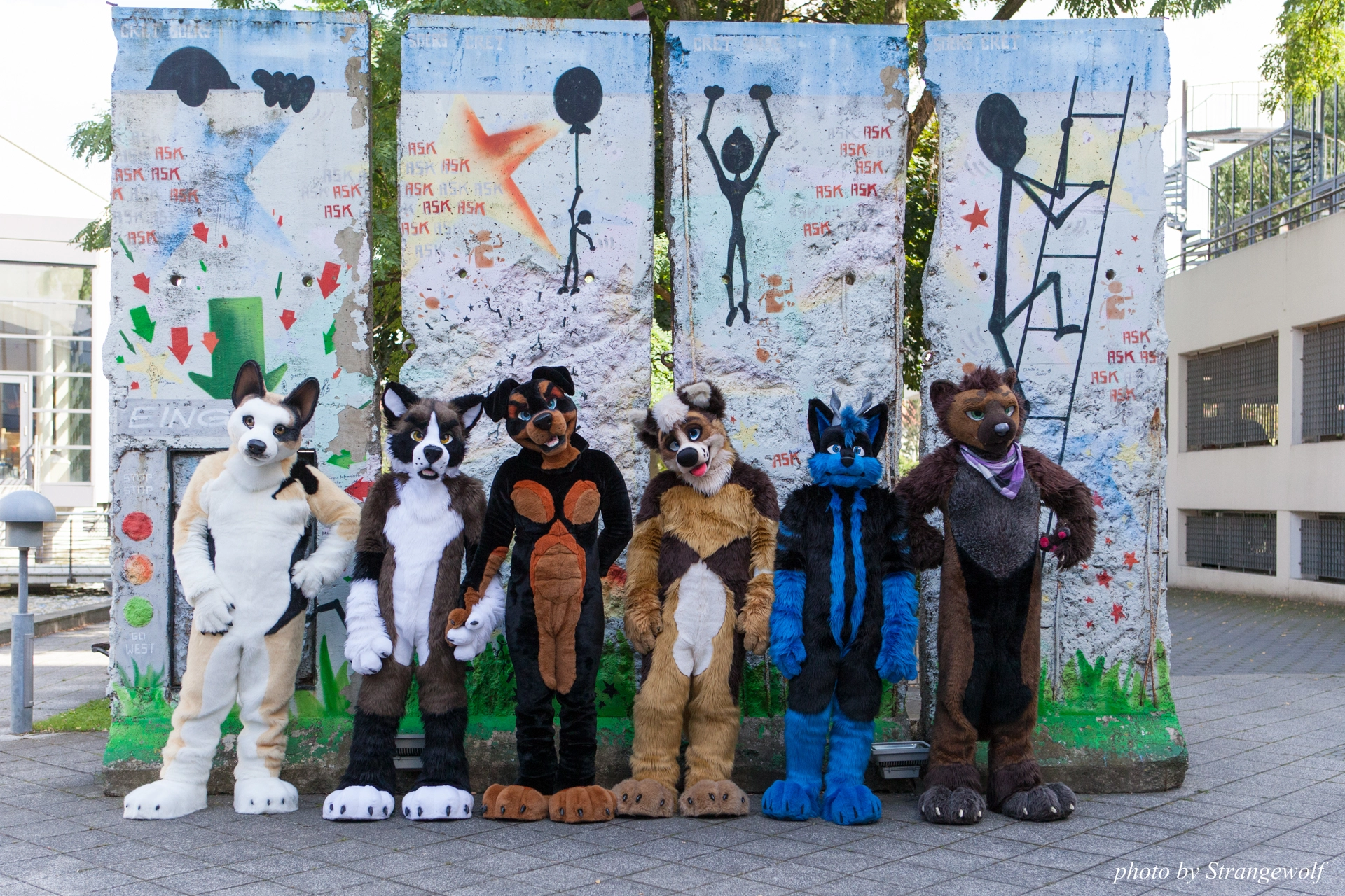 full image IMG_7037-lr19t.jpg
