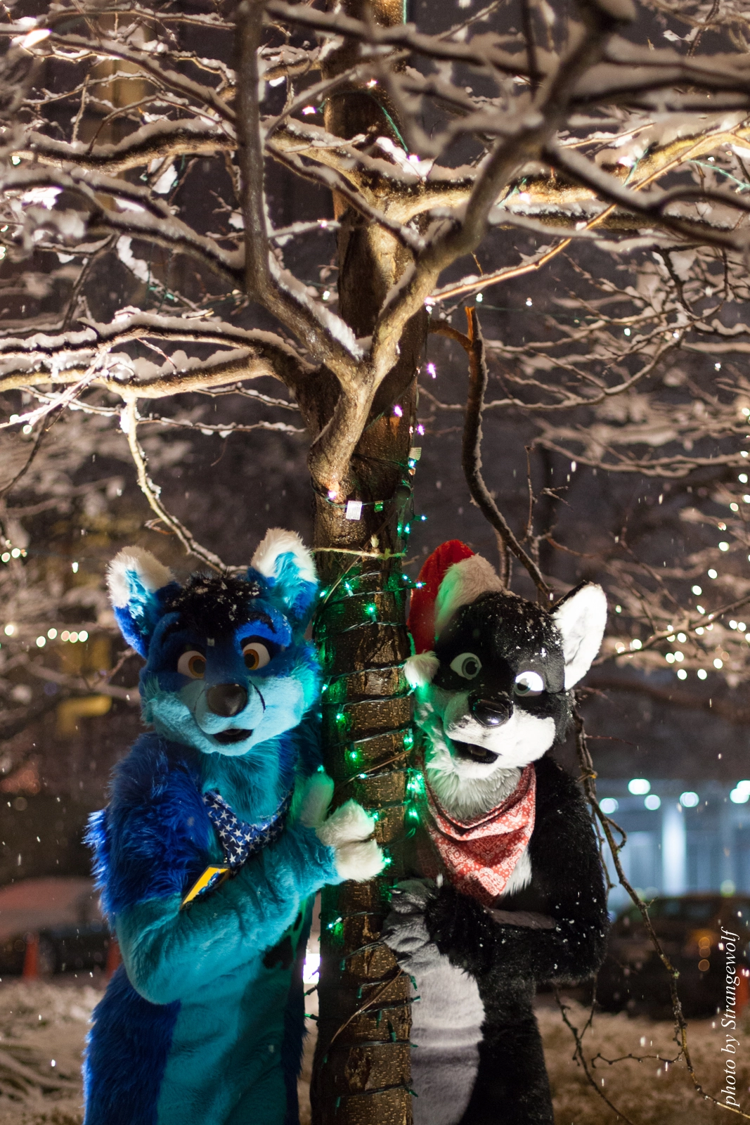full image IMG_0848-lr16t.jpg