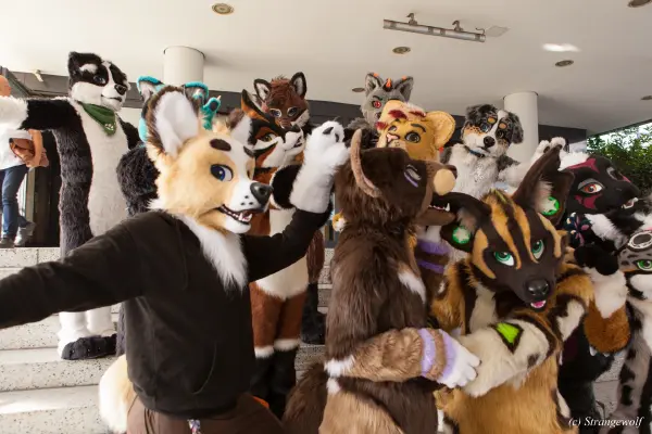 IMG_4916-lr19t.jpg of EF/EF24/Fotoshoot-Neonfurs/