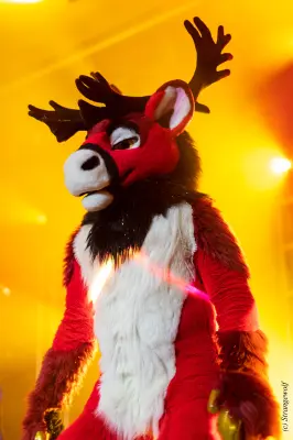 1R3A0615-lr19t.jpg of MFF/MFF2025/