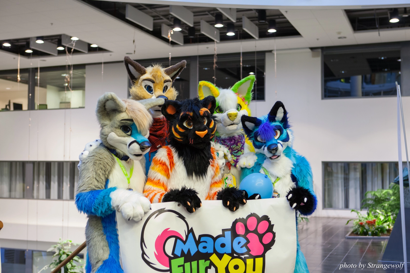 full image IMG_1726-lr16t.jpg