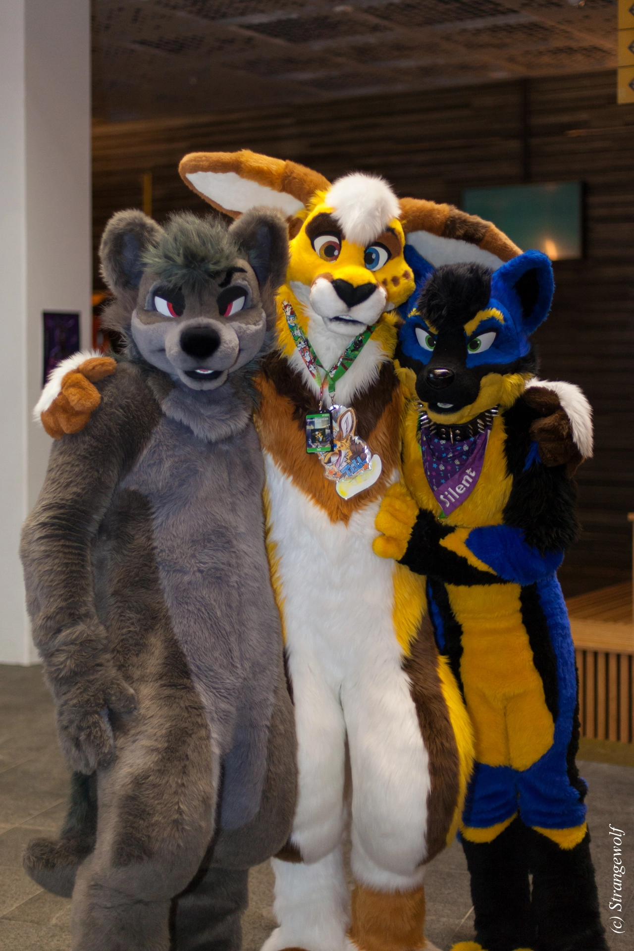 full image IMG_9180-lr19t.jpg