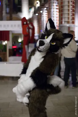 IMG_1646-lr16t.jpg of NFC/NFC2017/