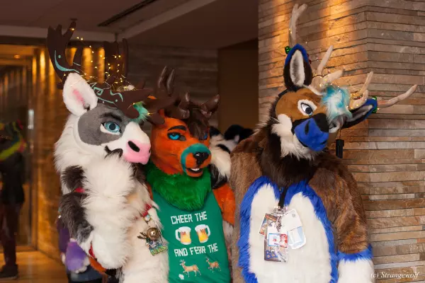 IMG_7307-lr19t.jpg of MFF/MFF2018/