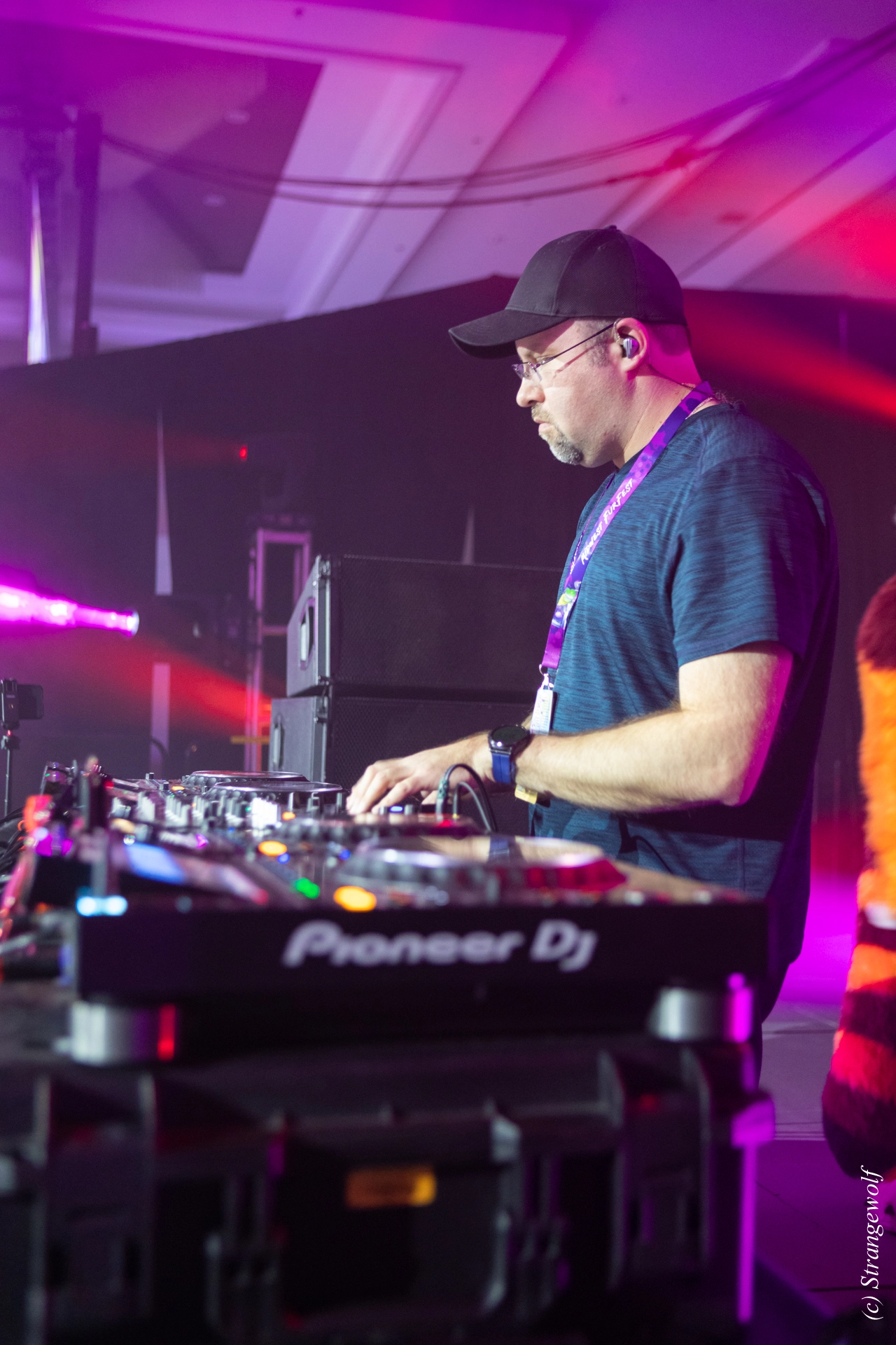 full image 1R3A0835-lr19t.jpg