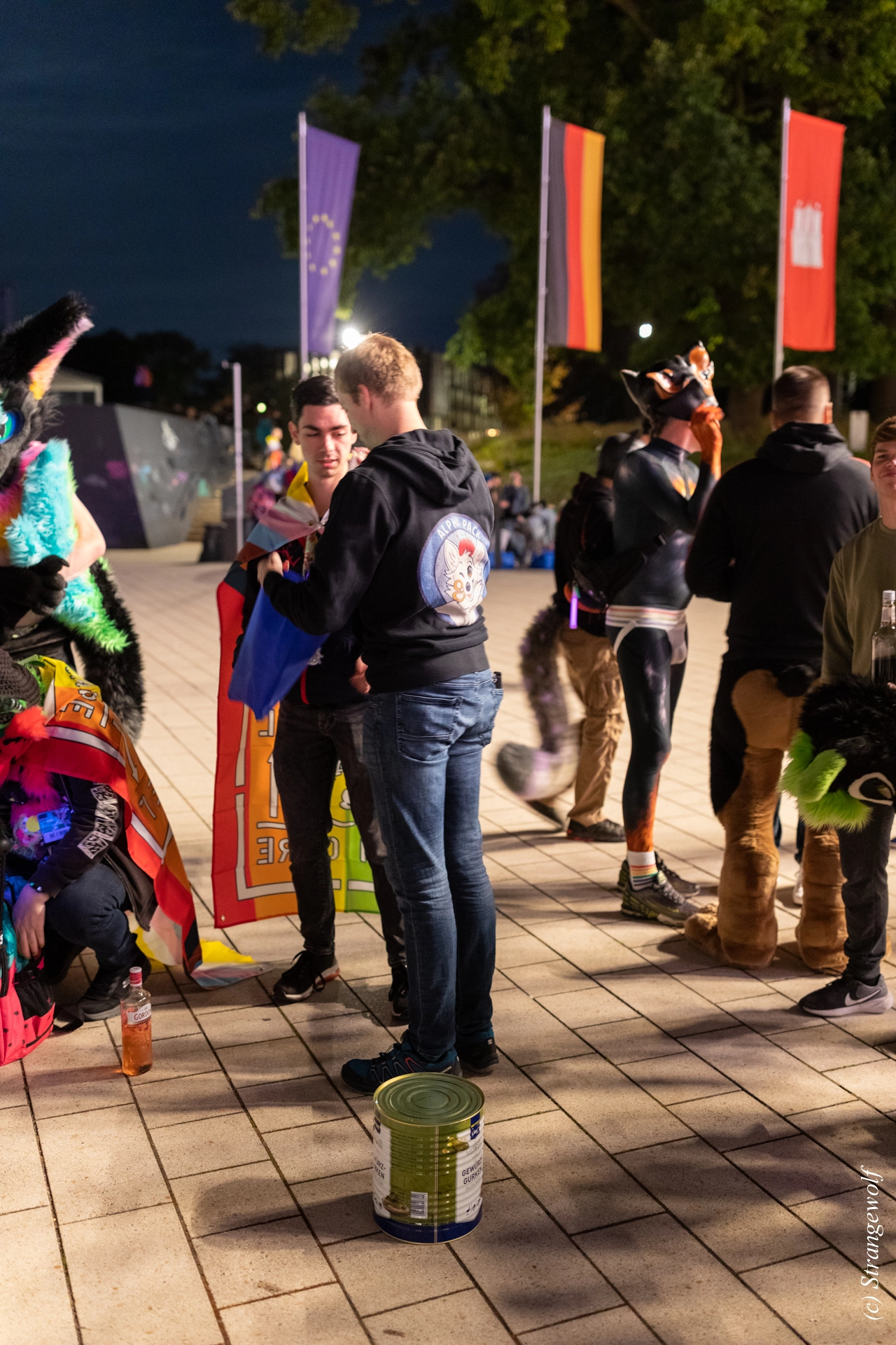 full image 1R3A9542-lr19t.jpg