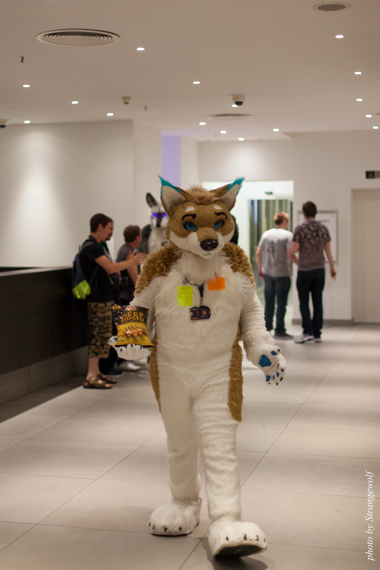 full image IMG_6308-lr19t.jpg