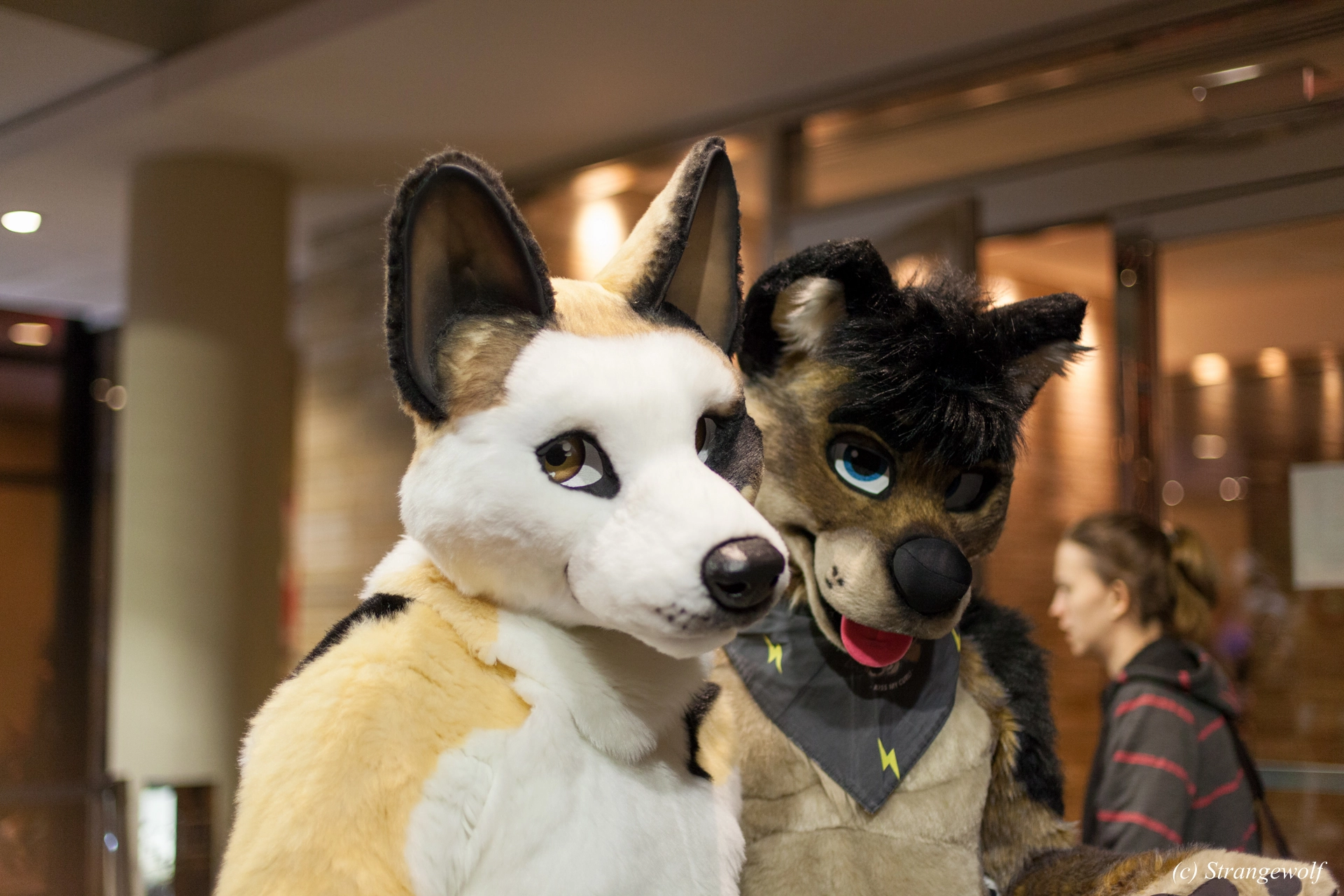 full image IMG_8110-lr19t.jpg