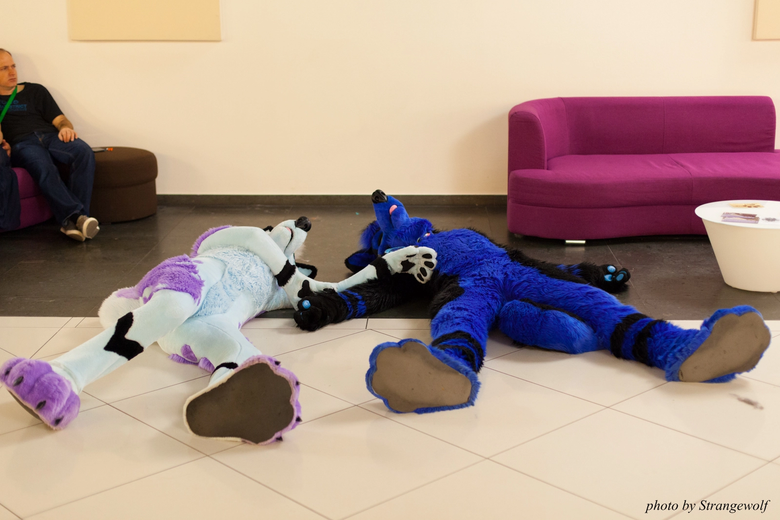full image IMG_0057-lr16t.jpg