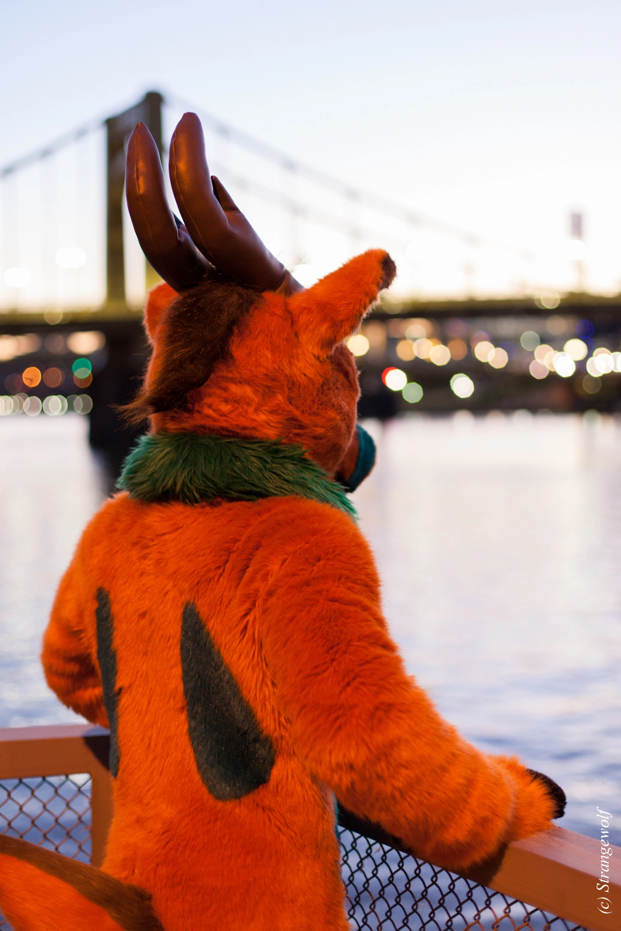 full image IMG_4518-lr19t.jpg